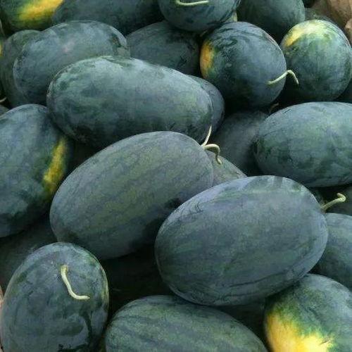 商河吃瓜黑料,一场网络风波背后的真相