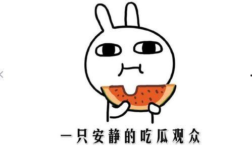 抖音黑料吃瓜qq群,揭秘QQ群中的吃瓜风云